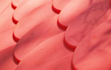 Newfound plastic roof costs