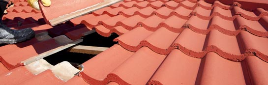 compare Newfound roof repair quotes